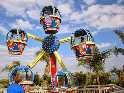 Mini kids Ferris Wheel for sale